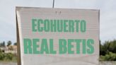 El Betis, primer club español que se alza contra la sequía