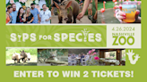 Watch to win Nashville Zoo’s Sips for Species Party tickets