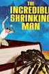 The Incredible Shrinking Man