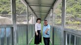 瑞芳猴硐「貓橋」封橋修繕 往返貓村要改走便橋