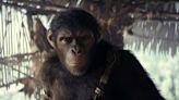 ‘Kingdom of the Planet of the Apes’ reigns at the box office with $56.5 million opening | Texarkana Gazette