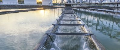 Favourable Signals For American States Water: Numerous Insiders Acquired Stock