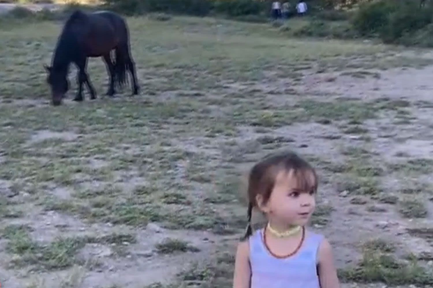 3-Year-Old Girl Kicked in Head by Wild Horse in Nevada Park, Mom 'Thought She Had Died'