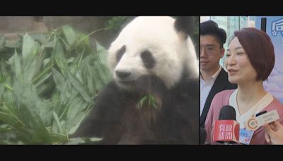 李家超赴四川商討大熊貓運送安排 李慧琼期望在國慶前抵港