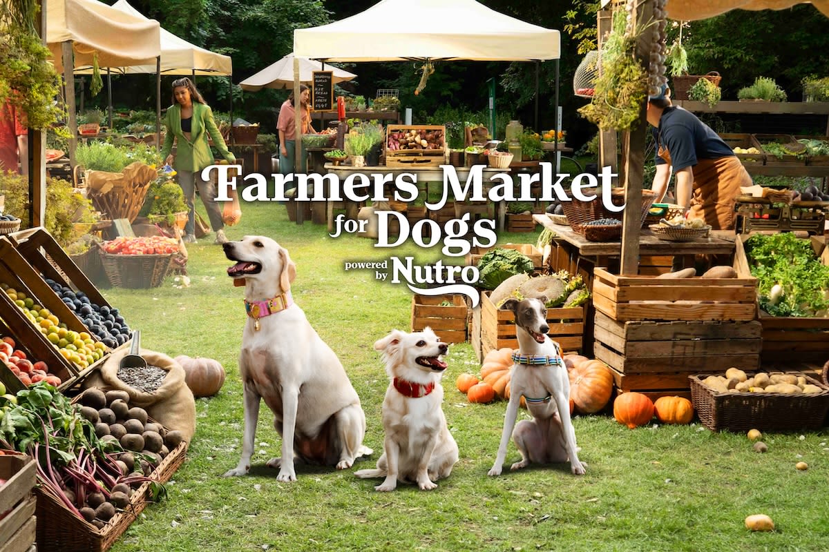 Ian Somerhalder and NUTRO's First-Ever 'Farmers Market For Dogs' Is Coming to LA and It's a Total Can't Miss