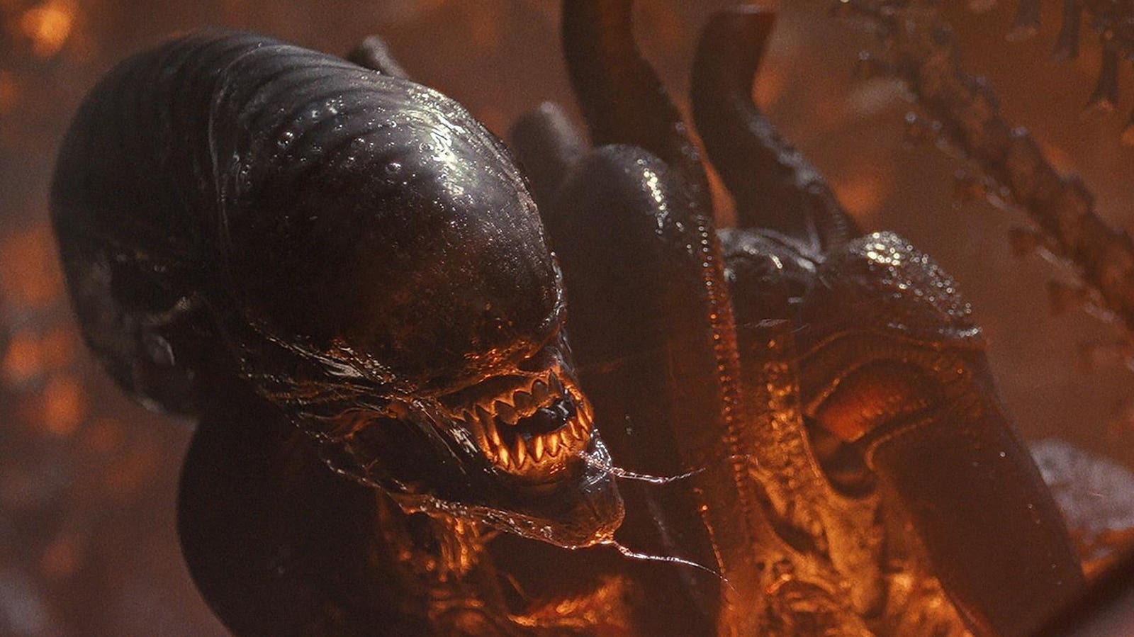 When Is ‘Alien: Romulus’ Coming To Streaming?