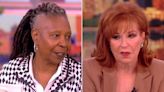 Joy Behar brings up Catholic abuse while Whoopi Goldberg gifts Pope Francis book to “The View” audience