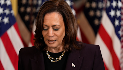 Kamala Harris Planted Trees For Israel As A Child, Recalls Fond Memory After Netanyahu Meeting