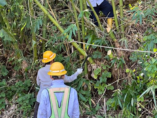 台電南部4區處總動員聯合搶修 力拼那瑪夏復電 | 蕃新聞