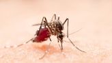 UN agency authorizes second vaccine against dengue amid outbreaks in the Americas