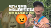 城門水塘有阿伯被指以丫叉襲擊猴子