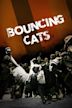 Bouncing Cats