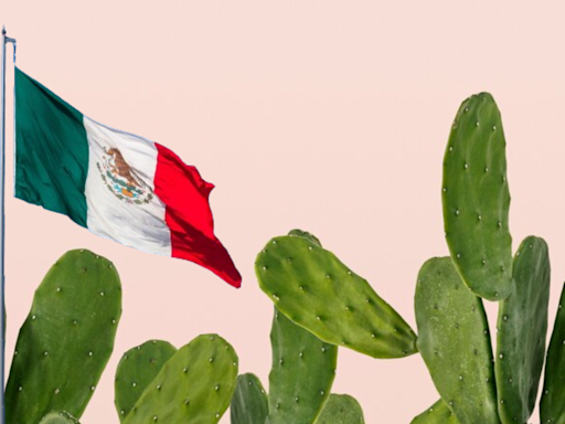 Planta mexicana que previene el cáncer