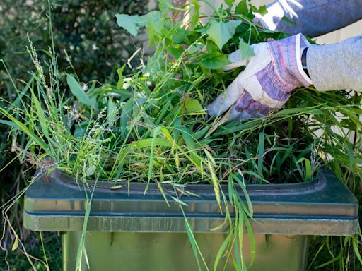 Residents to pay £56 for garden waste collections