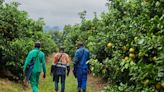 World’s No. 2 Citrus Shipper Renews WTO EU Dispute-Panel Call