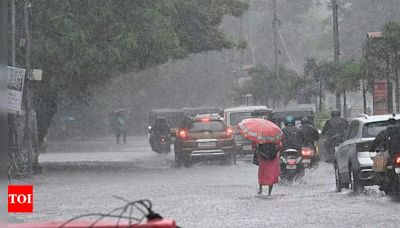 TN braces for northeast monsoon; TN-Alert app to disseminate info on weather - Times of India