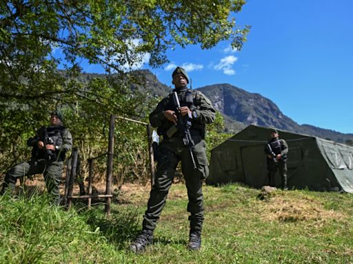 Colombia rebels to halt attacks during UN biodiversity summit