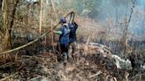 Siguen labores para extinguir las llamas en Isla Salamanca: capturaron a los señalados de provocar incendios