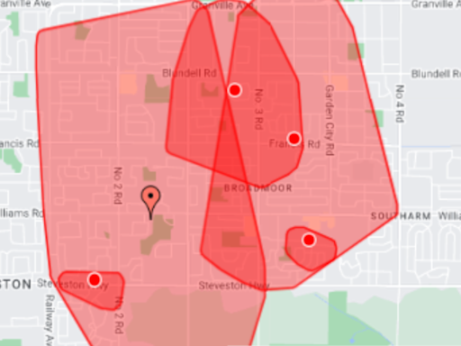 Bird causes power outage in Richmond, leaving 15K customers in the dark