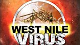 First West Nile virus positive bird found in Illinois