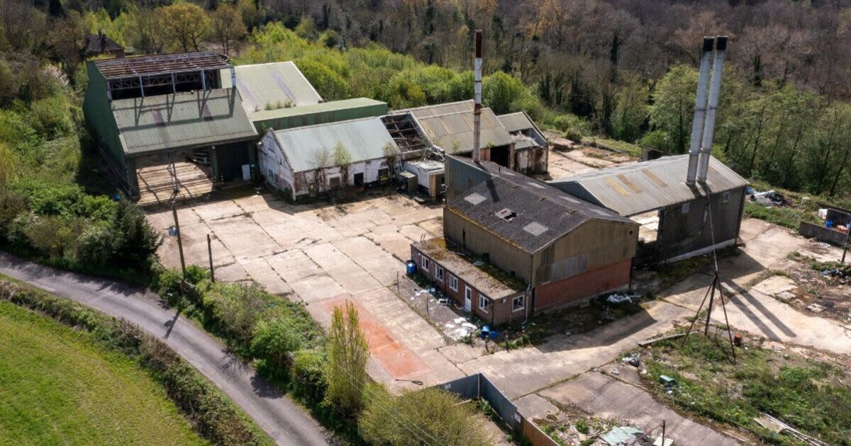 Incredible pictures show what happened to abandoned 'Mad Cow Disease factory'