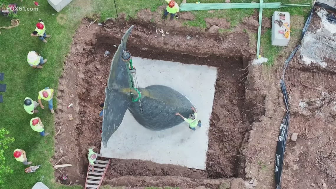 Conny the Whale's tail gets a new home on the Trout Brook Greenway