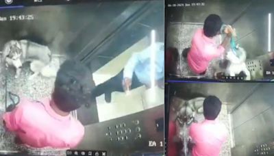 Disturbing Video: Dog Walker Lifts Husky By Leash, Thrashes It On Floor Inside Gurgaon Society Elevator