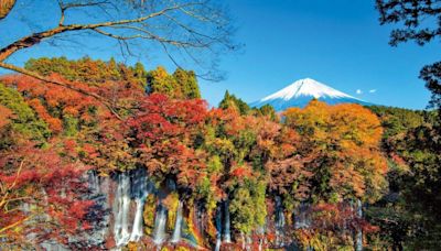 河口湖紅葉祭2024+開放時間/入場費/交通一覽＋富士山3大紅葉名所推介