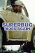 Superbug: The Wild One