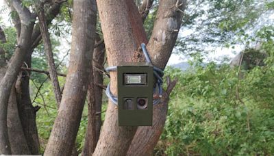 Forest Department fixes camera traps at 2 villages to capture leopard movement