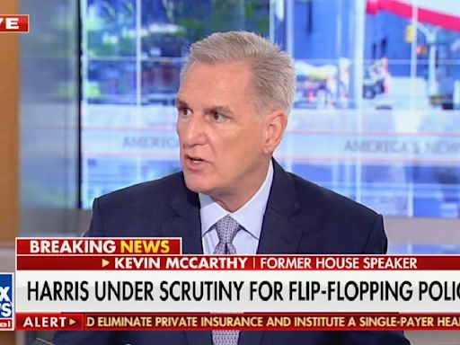 ‘Stop!’ Kevin McCarthy Calls Out Trump’s Fixation on Kamala Harris Crowd Size — Live On Fox News