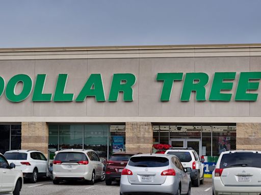 8 Dollar Tree Items That the Wealthy Are Buying in 2024