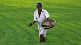 Budget keeps allocations for PM Kisan, Fasal Bima schemes unchanged despite focus on farm growth