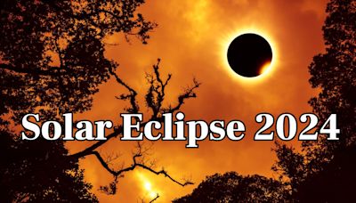 Solar Eclipse 2024: How Surya Grahan Will Affect Each Zodiac Sign