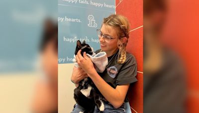 38 cats find love after harrowing ordeal at Pueblo hotel