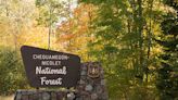Chequamegon-Nicolet National Forest fully reopens