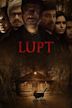 Lupt