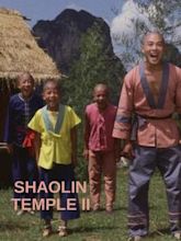 Kids From Shaolin