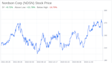 Decoding Nordson Corp (NDSN): A Strategic SWOT Insight