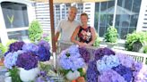 Hundreds tour 5 Duxbury gardens with hydrangeas, plein air artists, much more