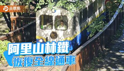 阿里山林鐵全線恢復通車 阿里山賓館大廳提供「星」級咖啡享受