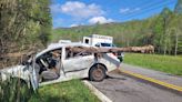 THP: Driver charged with DUI after tree impales car