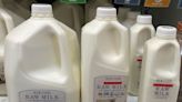 Raw milk containing bird flu virus infects mice in study