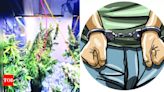 Goa cops bust Russian DJ’s lab, seize hydroponic weed worth Rs 1 crore, arrest him | Goa News - Times of India
