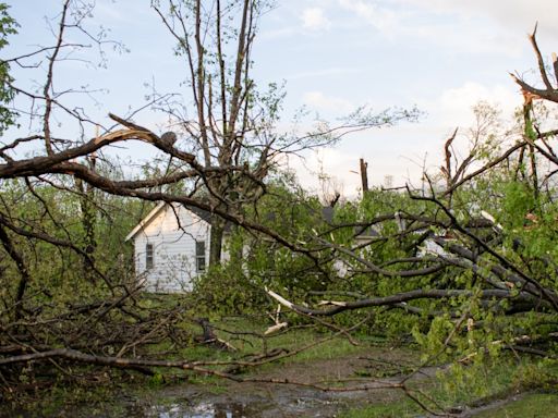 Sort debris from Portage tornado into 5 piles at curb, city says