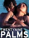 Twentynine Palms (film)