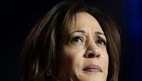 US Vice President Kamala Harris seems like the most obvious choice to replace Joe Biden as the Democratic Party's candidate if needed