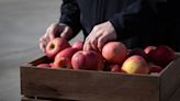 Farmers market vouchers now available for Pennsylvania seniors