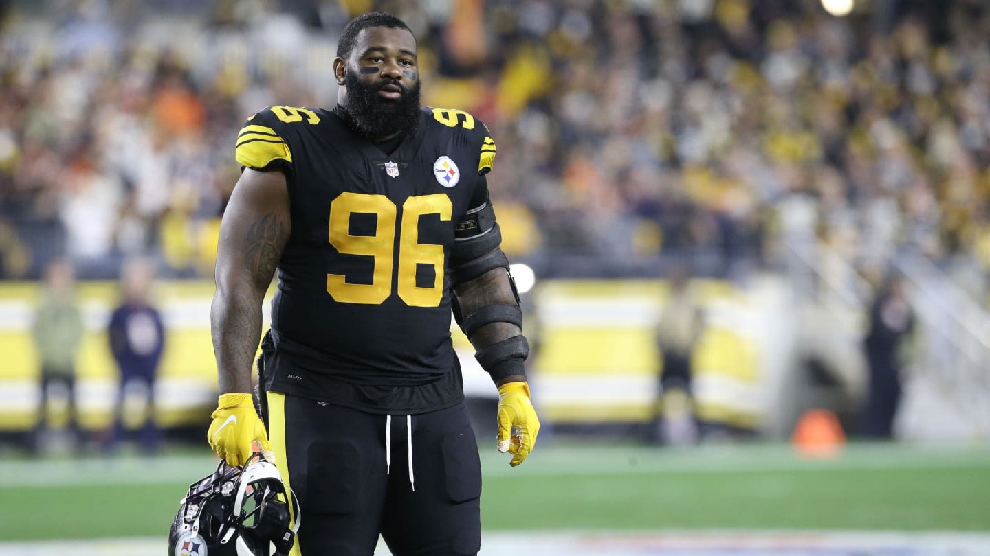 Report: Former Steelers DT Accused of Animal Cruelty