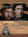 A High Wind in Jamaica (film)